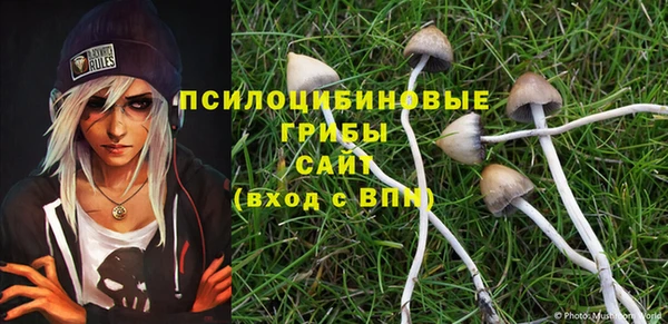 кристаллы Алексин