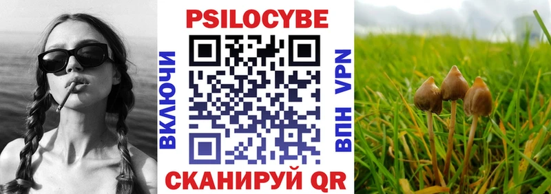 где можно купить наркотик  Богучар  Псилоцибиновые грибы Psilocybine cubensis 
