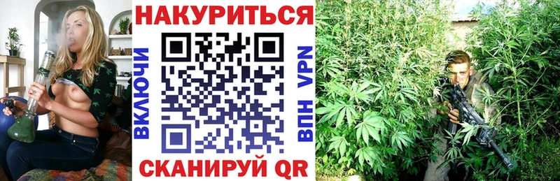 сколько стоит  Богучар  Канабис VHQ 